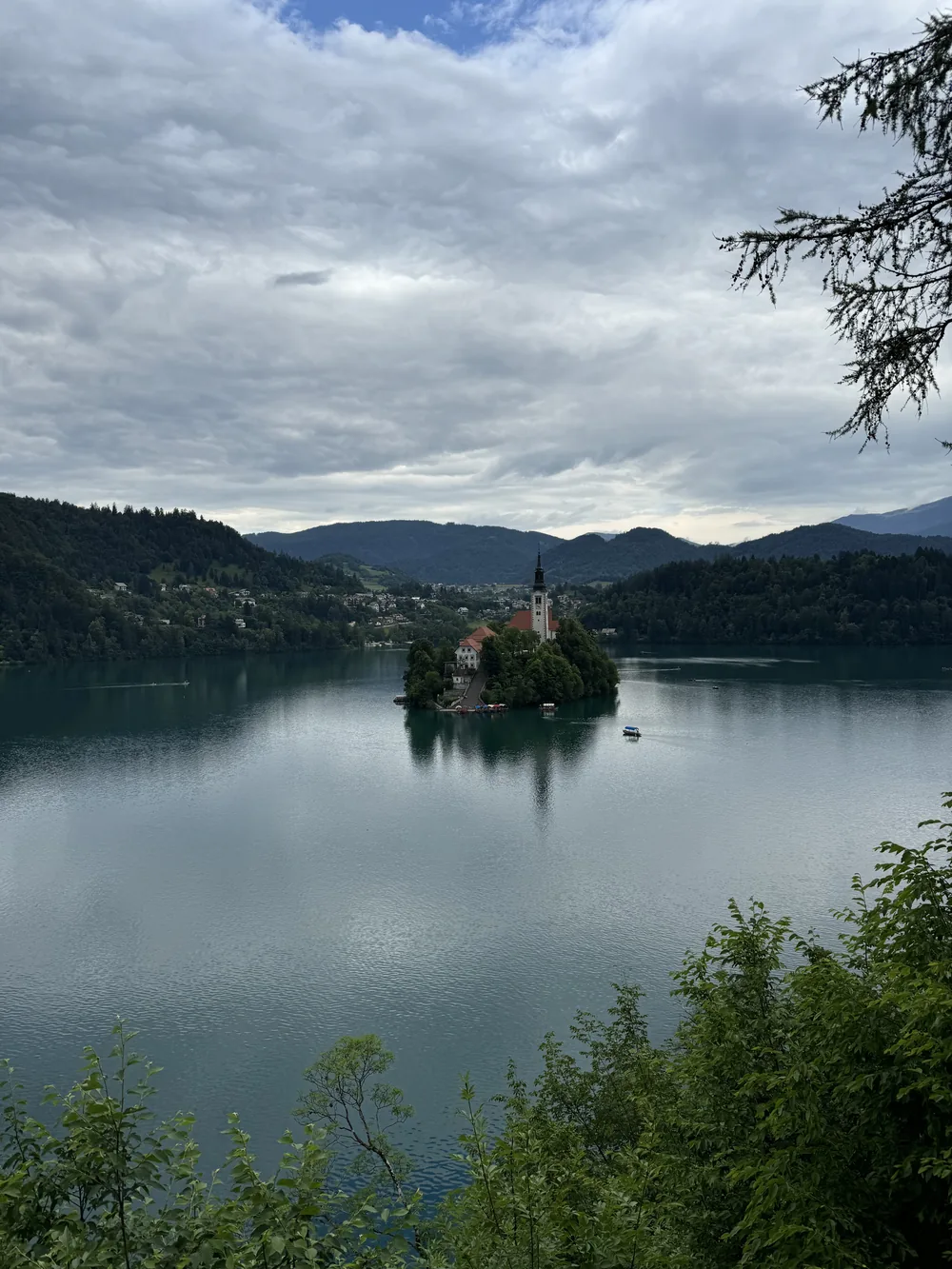 Lake Bled framed by trees