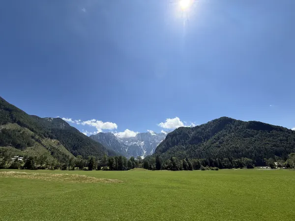 Sunny Slovenian alpine meadow